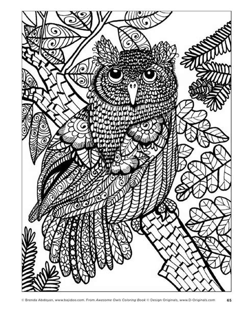 pin   adult owl coloring pages