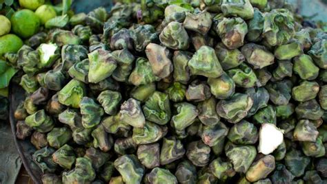 Water Chestnut Benefits 5 Things Singhara Fruit Can Do For Your Health