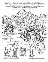 Coloring Park National Joshua Tree Pages Landscape Color Parks Worksheets Sheets Education Worksheet Designlooter Colouring 453px 3kb Camping Activities Choose sketch template