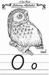 Owl Alphabet Coloring Janbrett Modern Cursive Click Jan Subscription Downloads Traditional Students Come Resources First sketch template
