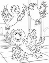 Ara Coloriage Macaw Bia Ausmalbild Tiago Template Kohls sketch template