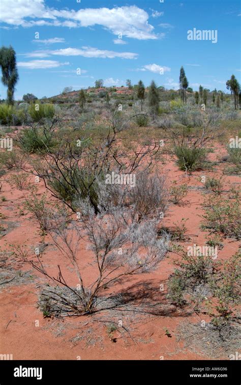 australian outback scrub desert australia rock water dry arid hot stock