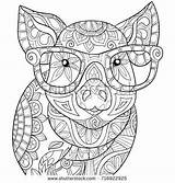 Coloring Pages Sheets Mandala Animal Adult Adults Book Zen Pig Colouring Printable Color Books Printables Activities Coloriage Kids Shutterstock Style sketch template