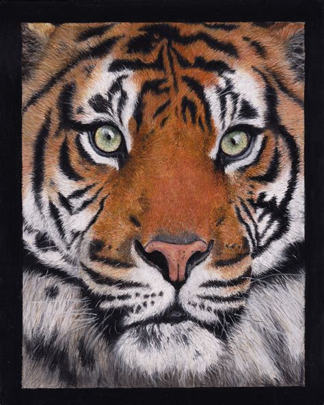 tiger painting fine art print gemma whelbourn art