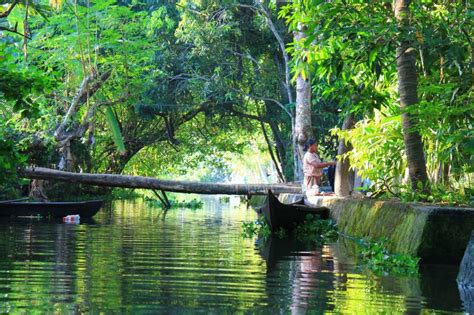 kerala god own country tour 182826 holdiay packages to munnar
