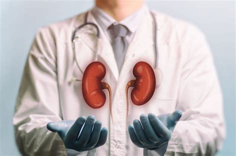 balancing kidney disease  wellness smcv advocates  greater