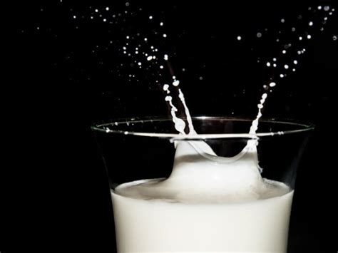 biologisch limburg biologische melkveehouders reudink  kg meer melk uit ruwvoer