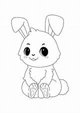 Lapin Coloriage Animaux Coloring1 sketch template