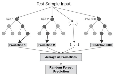 random forest overview modeling predictions advantages