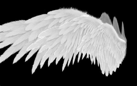 3d model angel wings type 2 level 3 vr ar low poly