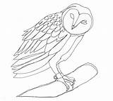 Line Drawing Owl Drawings Barn Contour Continuous Coloring Owls Simple Deviantart Template Popular Print Choose Board sketch template
