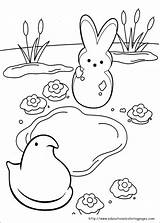 Coloring Peeps Pages Printable Marshmallow Easter Coloring4free Color Kids Print Preschool Book Bunny Marshmallows Sheets Getdrawings Getcolorings Hopscotch sketch template