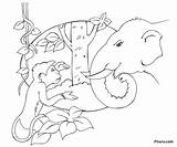 Elephant Monkey Coloring Pages Pitara sketch template