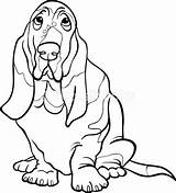 Hound Coloring Basset Dog Pages Cartoon Stock Book Illustration Depositphotos Drawing Vector Print Getdrawings Bassett Getcolorings Dot Izakowski sketch template