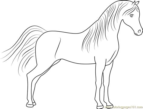 cute horse coloring page  horse coloring pages coloringpagescom