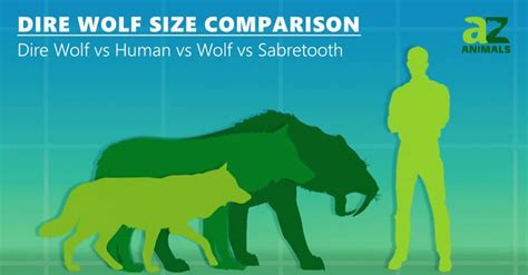 dire wolf size comparison imp world