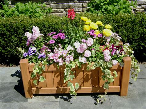 box planter  spring flowers flowers spring botanical planters