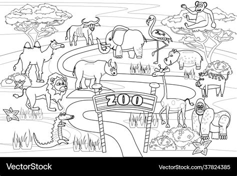 zoo jungle safari animals coloring book royalty  vector