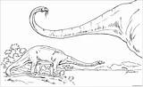 Diplodocus Pages Coloring Dinosaur Color Printable Coloringpagesonly sketch template