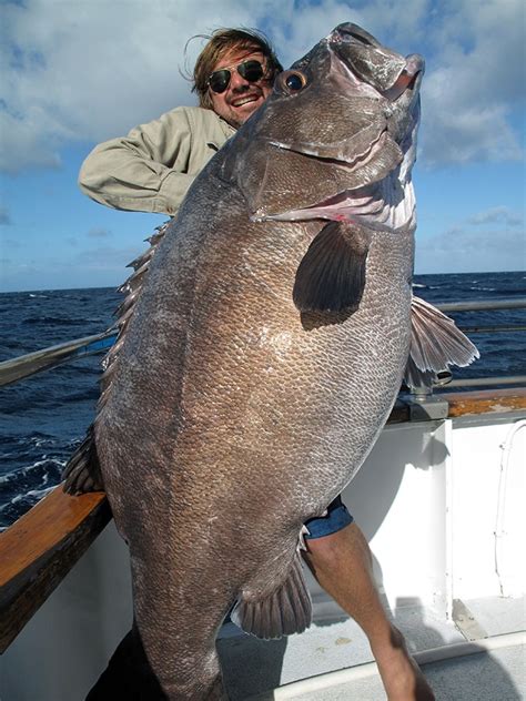 Big Bass Caught Off New Zealand Photo Huffpost