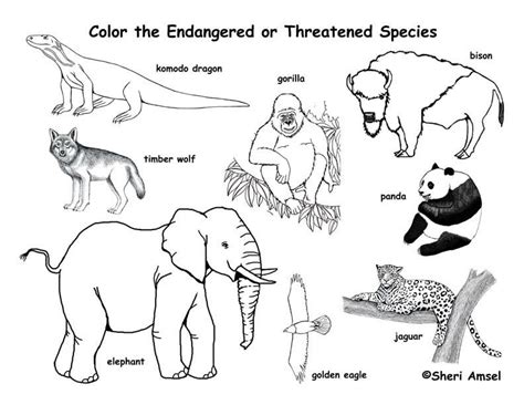 endangered animals coloring page exploring nature