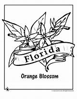 Florida Flower Coloring State Pages Printable Orange Kids Woojr Woo Jr Activities Adult Flag sketch template