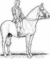 Horse Getcolorings Colouring Paarden Draft Springen Getdrawings Trojan 2482 2105 Procoloring sketch template