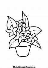 Kids Coloring Plant Pages Flower Drawing Flowers Pot Printable Plants Color Getdrawings Beautiful Easy Activities Book sketch template
