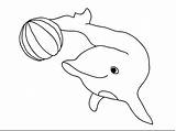 Golfinhos sketch template