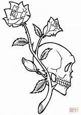 Coloring Tattoo Skull Rose Pages Drawing Printable Paper sketch template