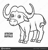 Buffalo Drawing Cape Coloring Getdrawings African Cartoon sketch template