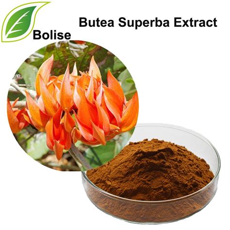 Butea Superba Is An Herb Native To Thailand Thought By Locals To Be An
