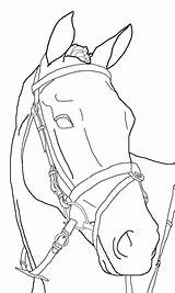 Kleurplaat Paard Pferde Ruiter Kleurplaten Pferd Dressuur Malvorlagen Lineart Wandtattoo Paardenhoofd Paarden Omnilabo Springend Malen Equina Moeilijk Süße Kopf Downloaden sketch template