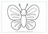 Colouring Butterfly Pages Minibeast Simple Butterflies Minibeasts Activityvillage Village Activity Explore sketch template