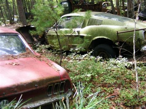 massive secret mustang junkyard found in rhode island forest
