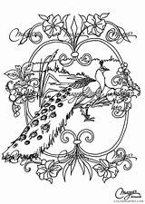 Coloring Coloring4free Peacock Pages Adults Beautiful Artwork sketch template
