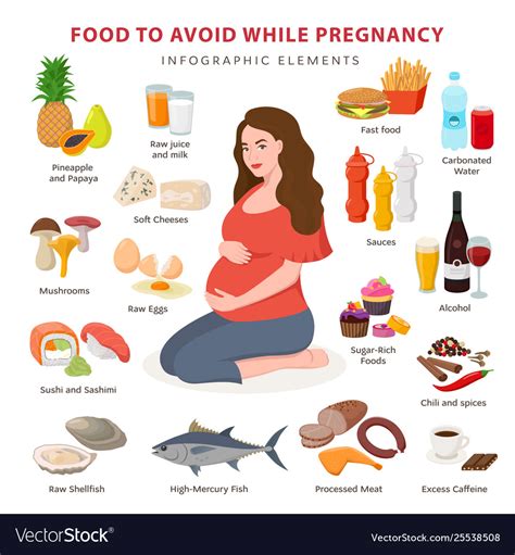 bad foods while pregnancy infographic elements vector image