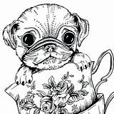 Pug Realistic Colour Bestcoloringpagesforkids Getdrawings Doug Adultes Teacup Reduction Moins Chiens Coloriages Code Getcolorings Colorings sketch template