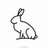 Lepre Hare Liebre Stampare Conejo Ultracoloringpages sketch template