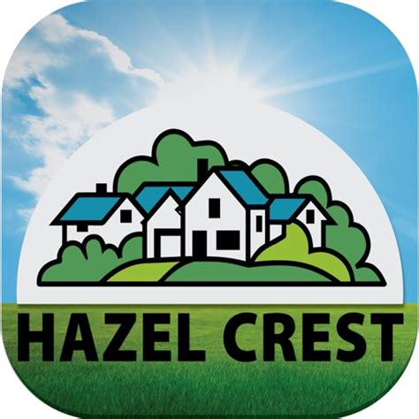 village  hazel crest  constituent outreach consultants