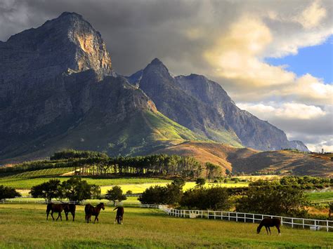 franschhoek mountains south africa farm clouds horse landscape vineyard wallpapers hd