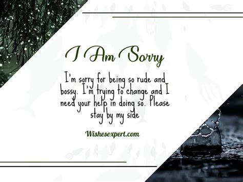 im  quotes  messages  perfect apology