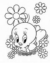 Tweety Coloring Bird Pages Cute sketch template