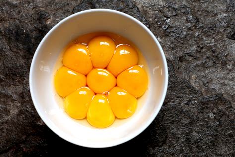 extra egg yolks  ways  preserve yolks