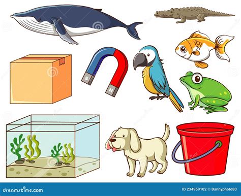 conjunto de diversos animales  objetos ilustracion del vector ilustracion de cuadro envase