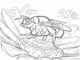 Coloring Bumblebee Buff Tailed Pages Printable Drawing Categories Bees sketch template