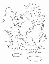Coloring Pages Hen Chicken Chick Chicks Kids Sheets Mother Baby Drawing Chickens Nugget Printable Clipart Color Red Getcolorings Getdrawings French sketch template