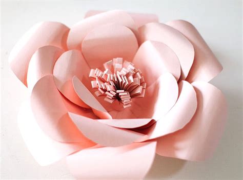 giant paper flower tutorials  photo displays backdrops
