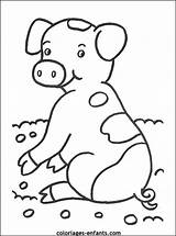 Varken Boerderij Cochons Boerderijdieren Coloriages Petits Kleuter Modder Varkentje Ferme Cochon Meer Dieren Downloaden Animées sketch template