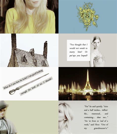 Harry Potter Characters Fleur Delacour With Images
